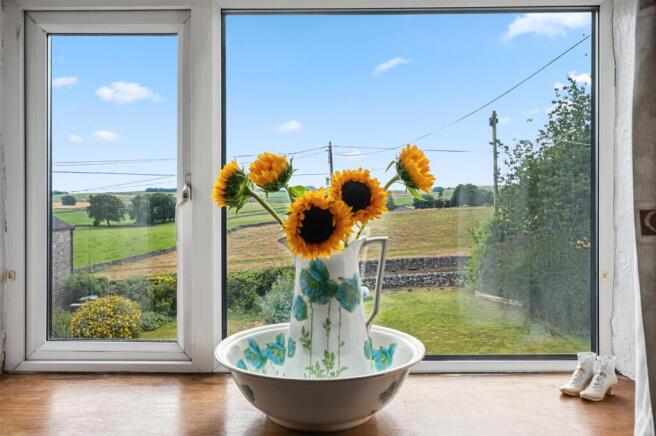 Saxton Mee 2 Moorview 0014.jpg