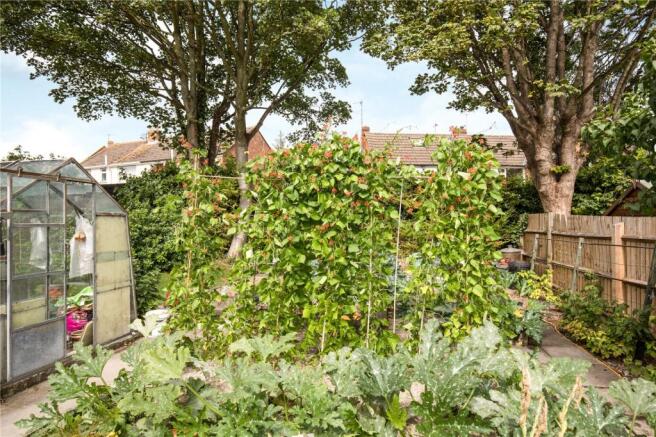 Vegetable Garden