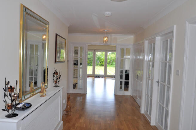 Photo 8