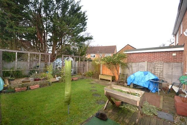 Garden 1