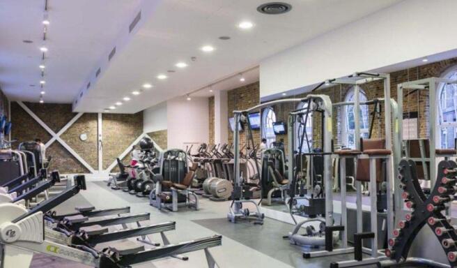 Picture No. 16