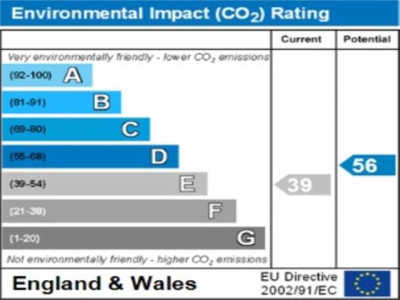 ENVIRONMENTAL  IMPAC