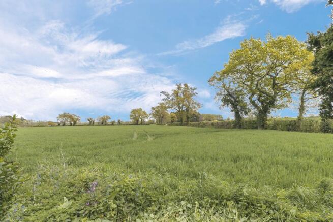 Field View