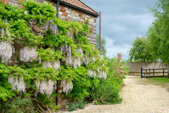WhitecrossFarm_59