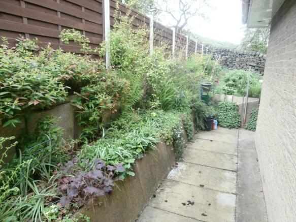 Image 14