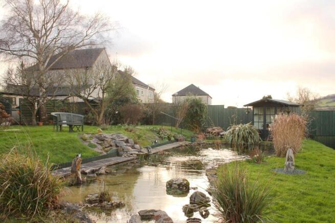 Nature pond