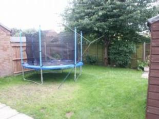 Garden 1