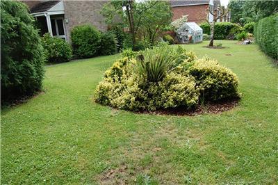 Side Garden