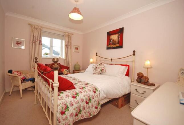 Photo 11