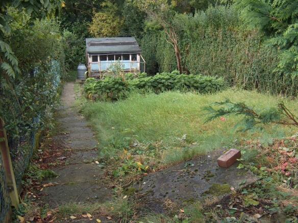 Vegetable Garden
