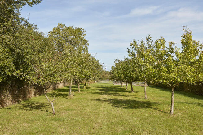 Photo 24