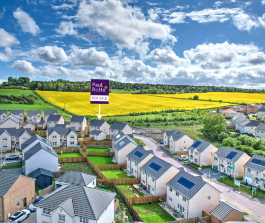 Plot 12
