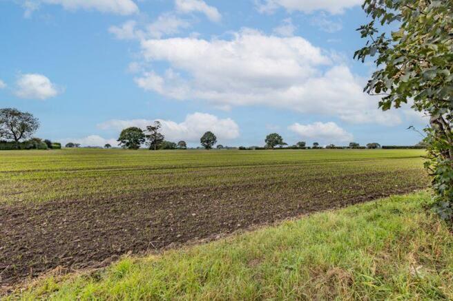 Field Views