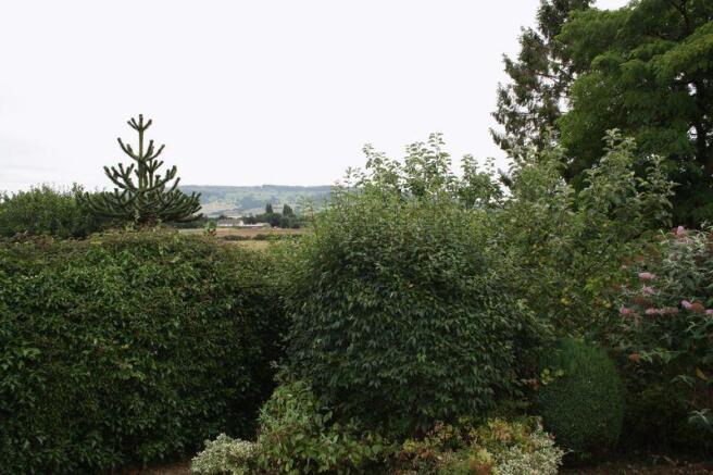 View from garden