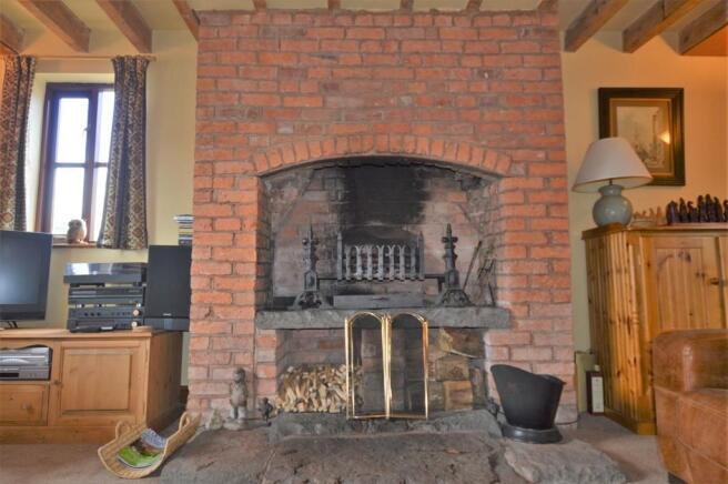 Living Room Firep...