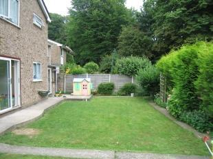 Garden Shot 2