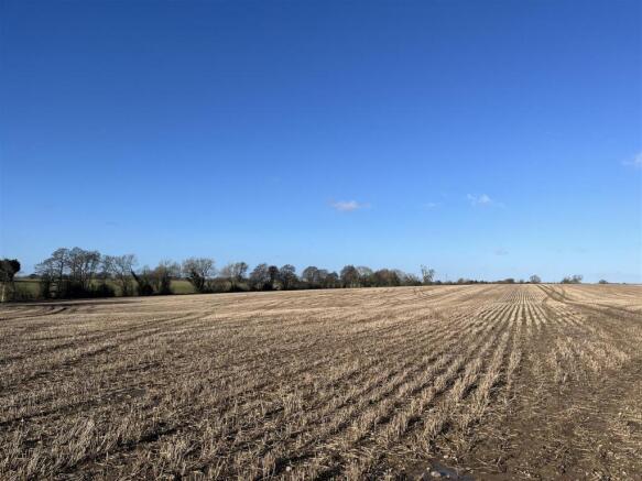 Photo 26-01-2024, 11 25 54?am.jpg