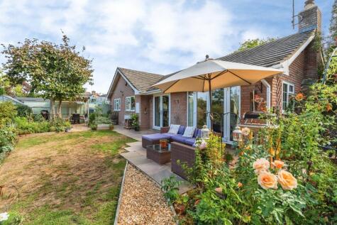 The Covert, Romsey