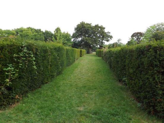 Communal Garden