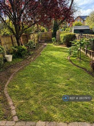 Back Garden 