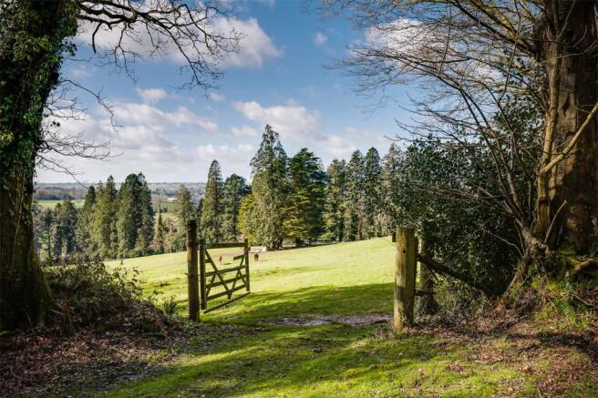 Land & Views
