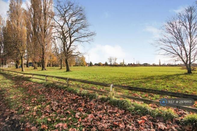 View Of The Park