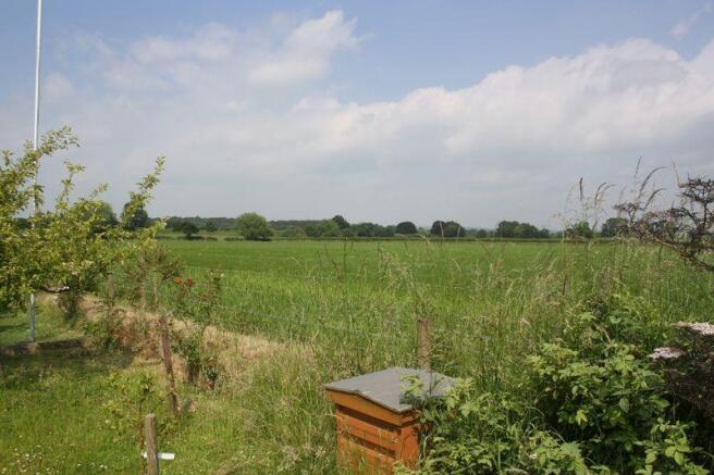 View from garden 1