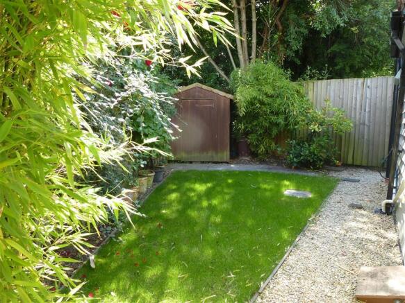 Photo 5