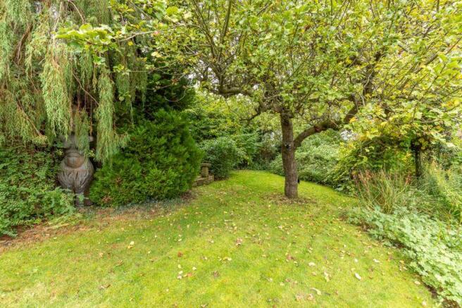 Rear Garden 2