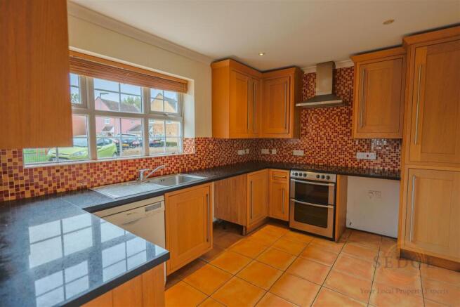 4 mallard close -01.jpg