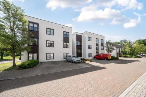 Hollies Court, Basingstoke, Hampshire