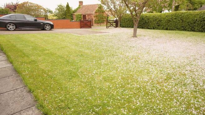 Front Gardens (2)