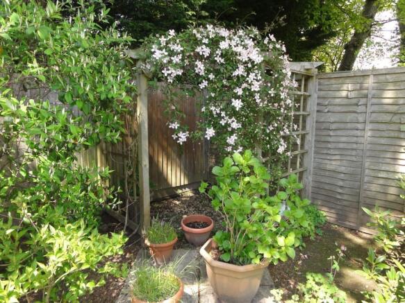 Photo 15