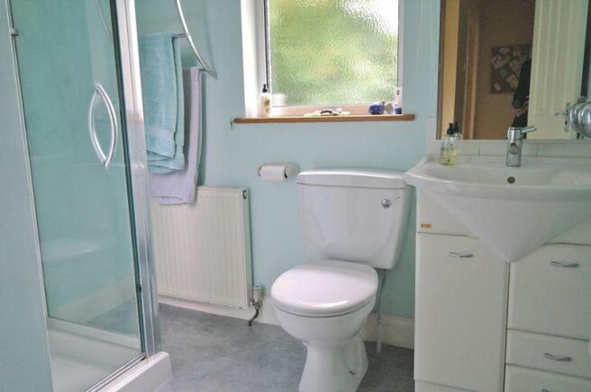 Downstairs shower