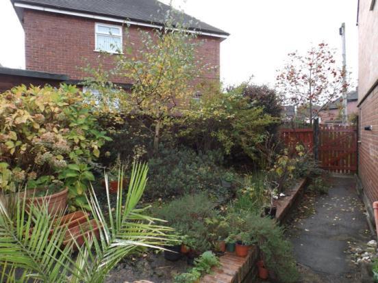 Side Garden