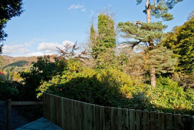 View from Patio T...
