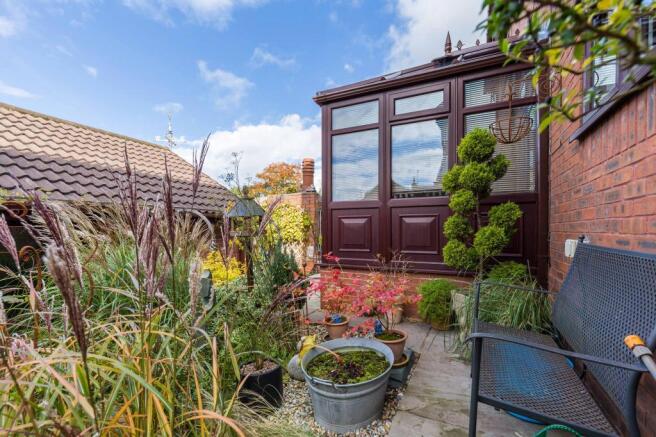 Back Garden