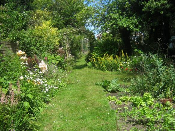Garden in Summer
