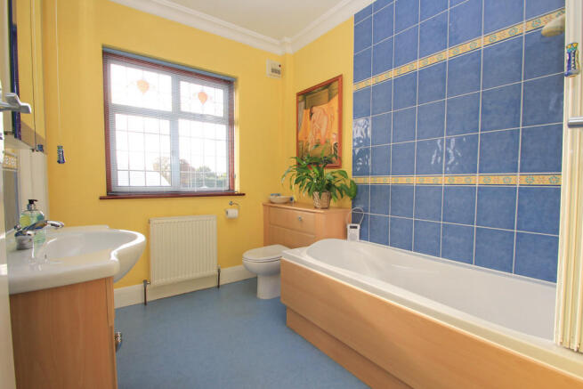 Photo 11