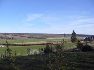 Views (2)