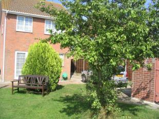 Rear Gardens