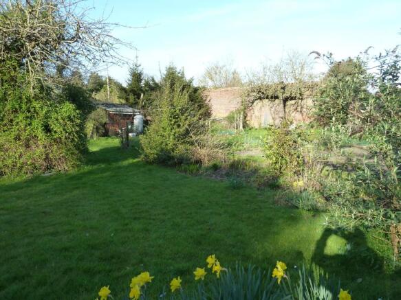 Rear garden
