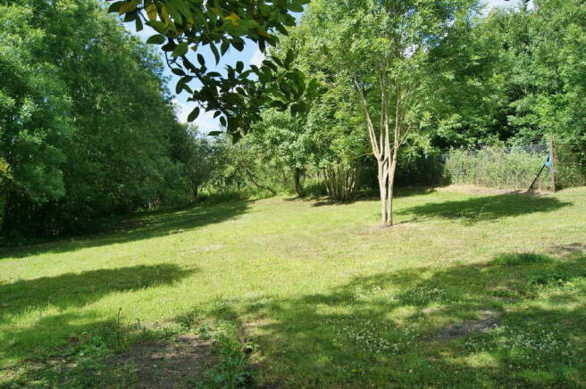 The Paddock