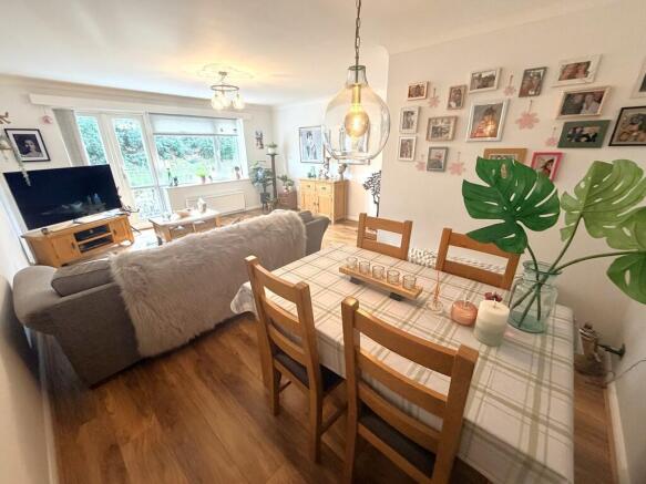 IMG_0641