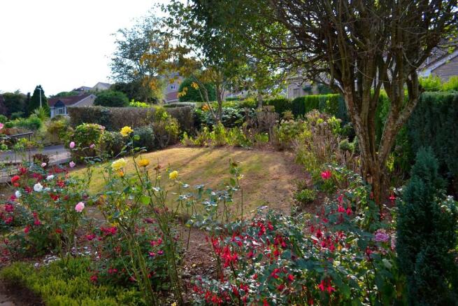 Front Garden