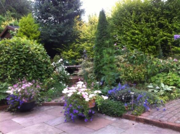 Photo 15