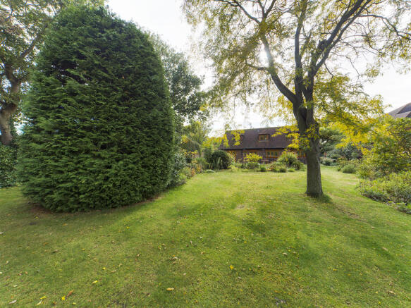 Photo 25