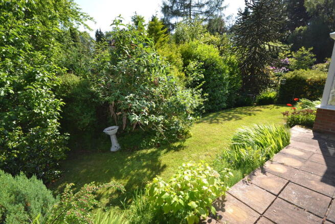 Photo 24