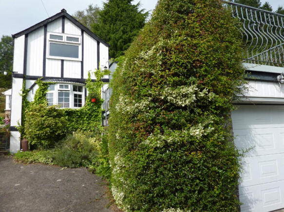 Photo 16