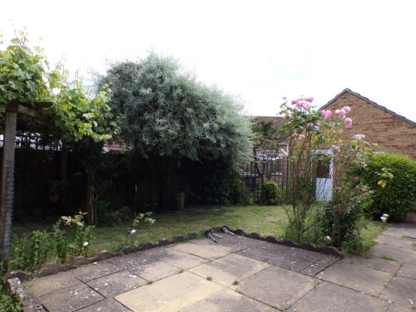 Photo 11